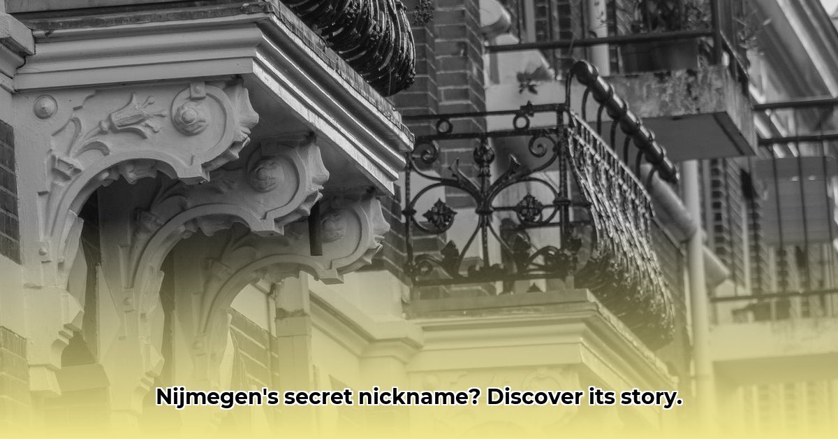 bijnaam-nijmegen
